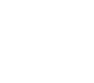 Bluesky_Logo